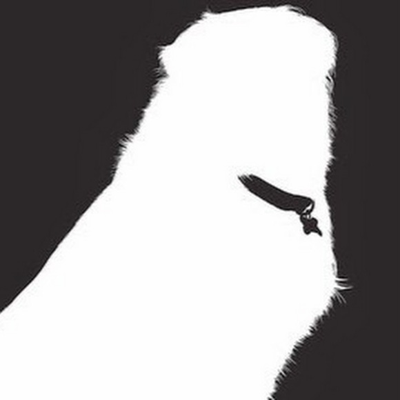 Meet your Posher, Johannah - Picture 1 of 1